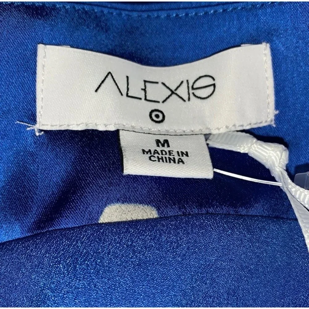 NWT ALEXIS for Target Blue Floral Tie-Front High-Low Dress Medium - Picture 8 of 16